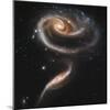 A "Rose" Made of Galaxies Highlights Hubble's 21st Anniversary-null-Mounted Photographic Print