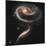 A "Rose" Made of Galaxies Highlights Hubble's 21st Anniversary-null-Mounted Photographic Print