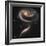 A "Rose" Made of Galaxies Highlights Hubble's 21st Anniversary-null-Framed Photographic Print