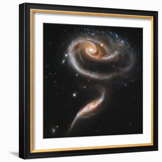 A "Rose" Made of Galaxies Highlights Hubble's 21st Anniversary-null-Framed Photographic Print