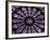 A Rose Window in Notre Dame Cathedral, Paris, France-William Sutton-Framed Photographic Print