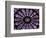 A Rose Window in Notre Dame Cathedral, Paris, France-William Sutton-Framed Photographic Print