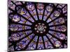 A Rose Window in Notre Dame Cathedral, Paris, France-William Sutton-Mounted Photographic Print