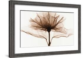 A Rose-Steven N^ Meyers-Framed Art Print