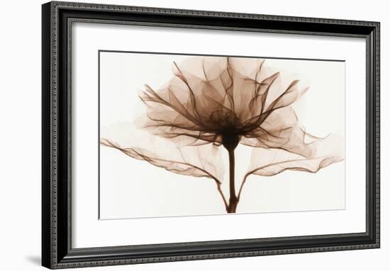 A Rose-Steven N^ Meyers-Framed Art Print