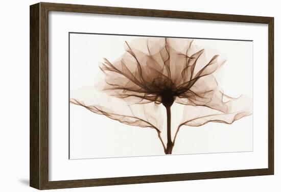 A Rose-Steven N^ Meyers-Framed Art Print