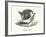 A round robin (engraving)-English School-Framed Premium Photographic Print