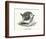 A round robin (engraving)-English School-Framed Photographic Print