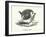 A round robin (engraving)-English School-Framed Photographic Print