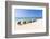 A Row of Colourful Wooden Deckchairs on Palm Beach, Aruba, Netherlands Antilles-Jane Sweeney-Framed Photographic Print