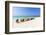 A Row of Colourful Wooden Deckchairs on Palm Beach, Aruba, Netherlands Antilles-Jane Sweeney-Framed Photographic Print