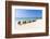 A Row of Colourful Wooden Deckchairs on Palm Beach, Aruba, Netherlands Antilles-Jane Sweeney-Framed Photographic Print