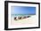 A Row of Colourful Wooden Deckchairs on Palm Beach, Aruba, Netherlands Antilles-Jane Sweeney-Framed Photographic Print