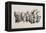 A Row Of Seven Heads Of Classical Heroes and Heroines From the Stories Of Homer.-HW Tischbein-Framed Premier Image Canvas