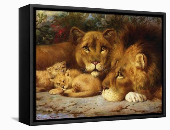 A Royal Family of Lions-William Strutt-Framed Premier Image Canvas