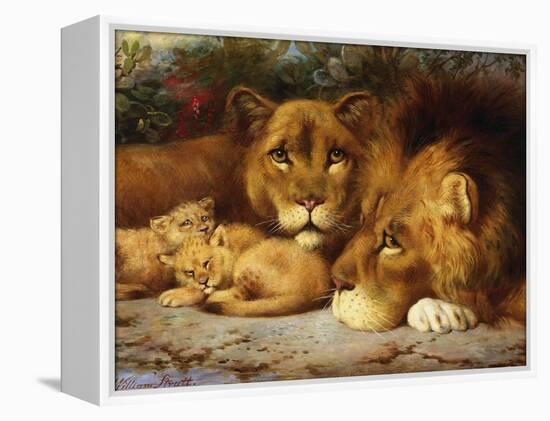 A Royal Family of Lions-William Strutt-Framed Premier Image Canvas