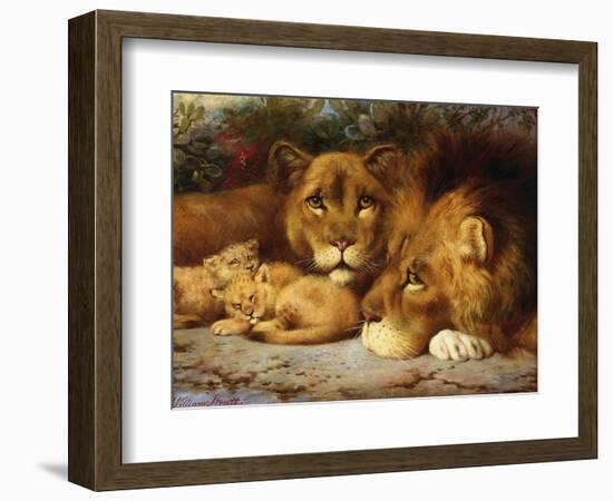 A Royal Family of Lions-William Strutt-Framed Giclee Print