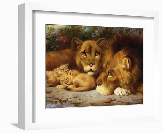 A Royal Family of Lions-William Strutt-Framed Giclee Print