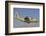 A Royal Saudi Air Force C-130 Prepares for Landing-Stocktrek Images-Framed Photographic Print