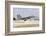 A Royal Saudi Air Force F-15C Eagle Landing on the Runway-Stocktrek Images-Framed Photographic Print
