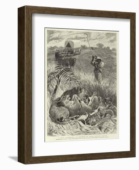 A Rude Awakening, an Incident of South African Travel-null-Framed Giclee Print