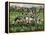 A Rugby Match, 1989-Gareth Lloyd Ball-Framed Premier Image Canvas