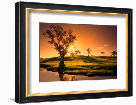 A Rural Adelaide Hills Landscape-kwest19-Framed Photographic Print