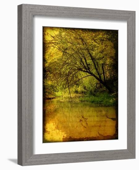 A Rural Scene with a Riverbank-Cristina Carra Caso-Framed Photographic Print