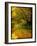 A Rural Scene with a Riverbank-Cristina Carra Caso-Framed Photographic Print