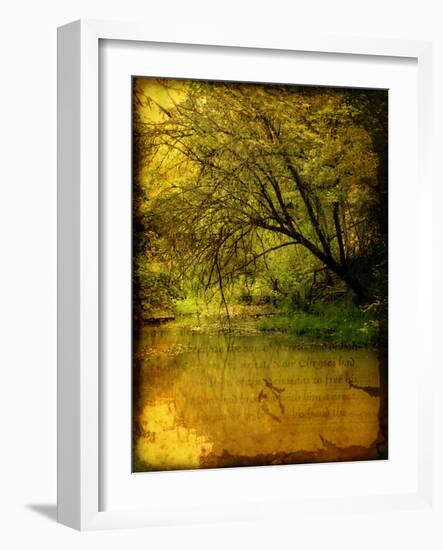 A Rural Scene with a Riverbank-Cristina Carra Caso-Framed Photographic Print