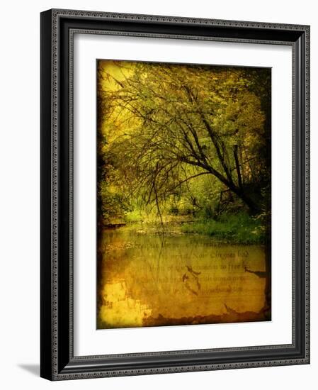 A Rural Scene with a Riverbank-Cristina Carra Caso-Framed Photographic Print