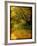 A Rural Scene with a Riverbank-Cristina Carra Caso-Framed Photographic Print