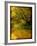 A Rural Scene with a Riverbank-Cristina Carra Caso-Framed Photographic Print