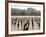 A Russian River Vineyard Remains Flooded Near Forestville, Calif.-null-Framed Photographic Print