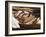 A Rustic Country Loaf on a Slice of Wood-Karl Newedel-Framed Photographic Print