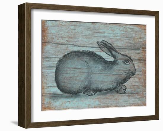 A Rustic Rabbit II-Regina Moore-Framed Art Print