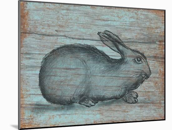 A Rustic Rabbit II-Regina Moore-Mounted Art Print