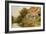 A Rustic Retreat-Arthur Claude Strachan-Framed Giclee Print