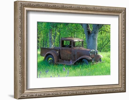 A Rusting 1931 Ford Pickup Truck Sitting in a Field under an Oak Tree-John Alves-Framed Photographic Print