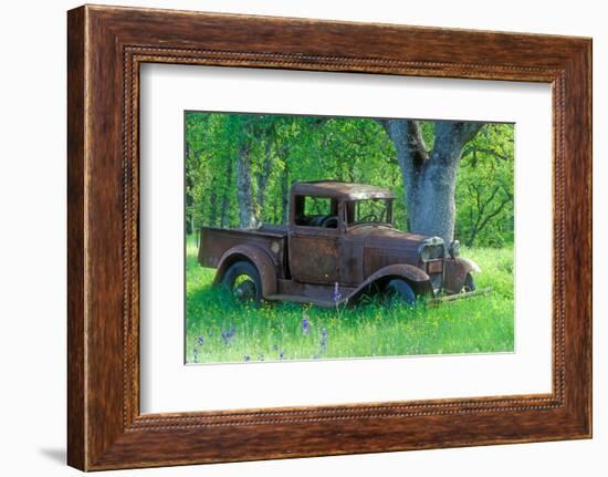 A Rusting 1931 Ford Pickup Truck Sitting in a Field under an Oak Tree-John Alves-Framed Photographic Print