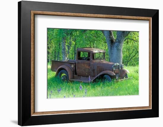 A Rusting 1931 Ford Pickup Truck Sitting in a Field under an Oak Tree-John Alves-Framed Photographic Print