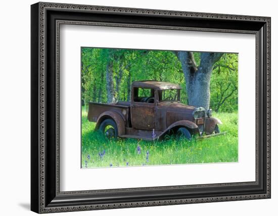 A Rusting 1931 Ford Pickup Truck Sitting in a Field under an Oak Tree-John Alves-Framed Photographic Print