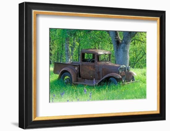 A Rusting 1931 Ford Pickup Truck Sitting in a Field under an Oak Tree-John Alves-Framed Photographic Print