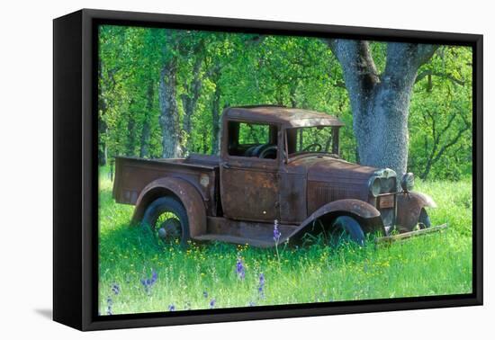 A Rusting 1931 Ford Pickup Truck Sitting in a Field under an Oak Tree-John Alves-Framed Premier Image Canvas