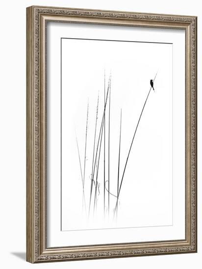 A Sabbatical-null-Framed Premium Photographic Print