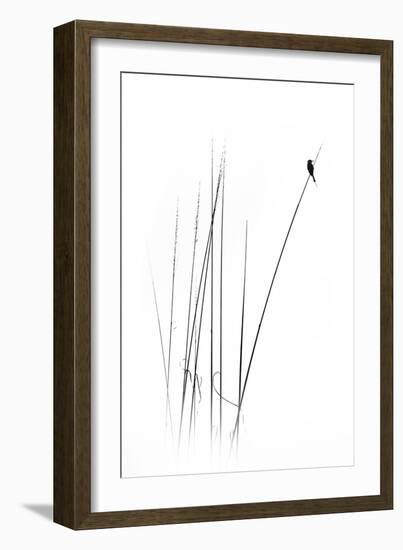 A Sabbatical-null-Framed Premium Photographic Print