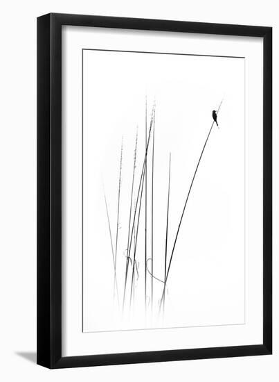 A Sabbatical-null-Framed Premium Photographic Print