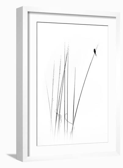 A Sabbatical-null-Framed Premium Photographic Print