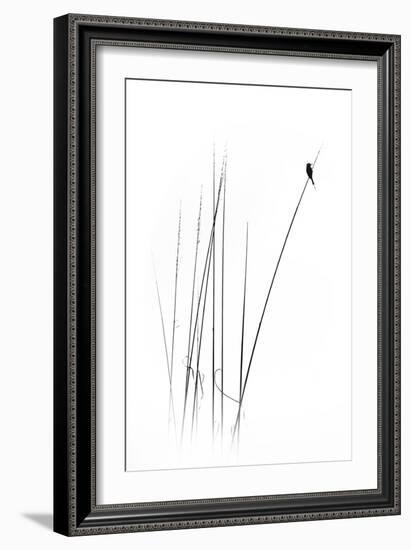 A Sabbatical-null-Framed Premium Photographic Print