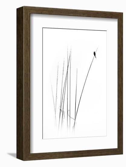 A Sabbatical-null-Framed Photographic Print